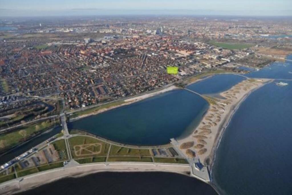 Cosy Apt. In Near Airport- Metro-beach.