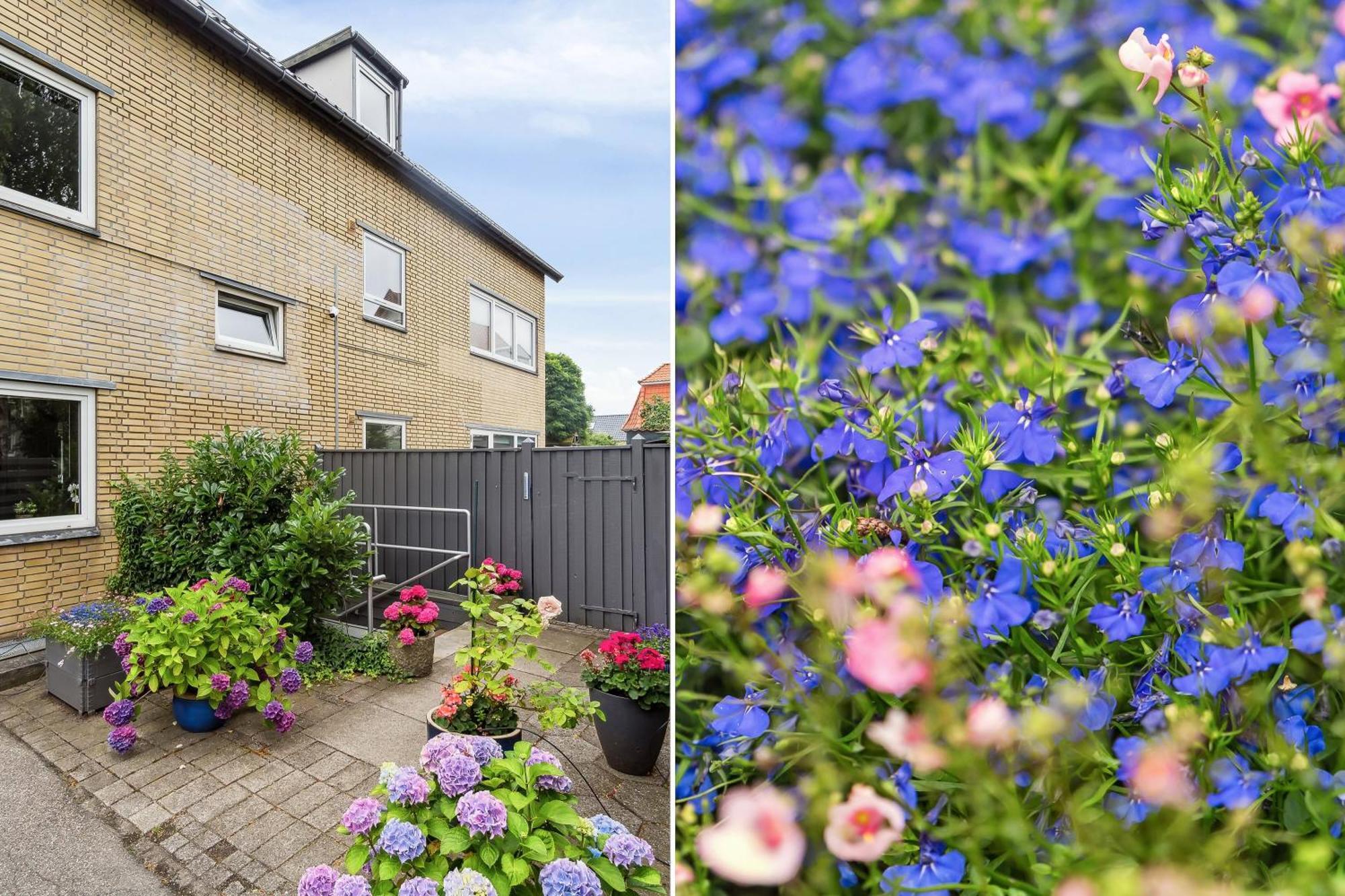 Cosy Apt. In Near Airport- Metro-beach. Appartement *